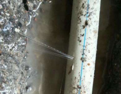 太平测漏水哪家好