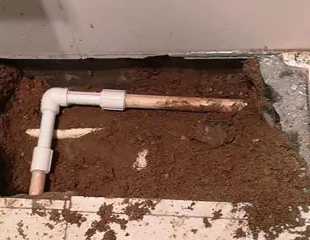 太平测漏水哪家好