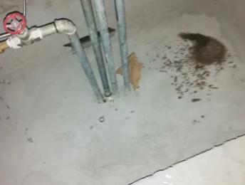 太平卫生间测漏水价格明细